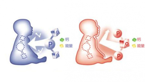 萃取全脂牛奶中亲和乳脂营养对婴儿意味着什么