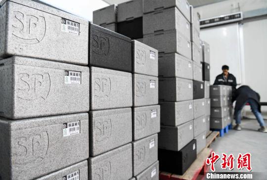 图为收到第一份澳洲牛肉的居民通过手机扫描二维码查验牛肉的屠宰、包装及坐哪个航班来重庆等信息。 周毅 摄